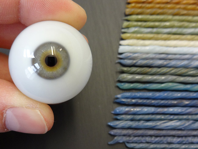 Farbrohling mit aufgezeichneter Irisfarbe